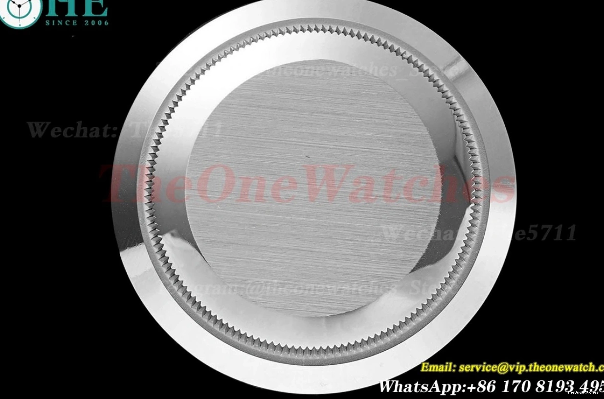 DayDate GSF 228396 SS (Tungsten Pres Dial Version) SS A3255 Silver 40mm Heavy 0427